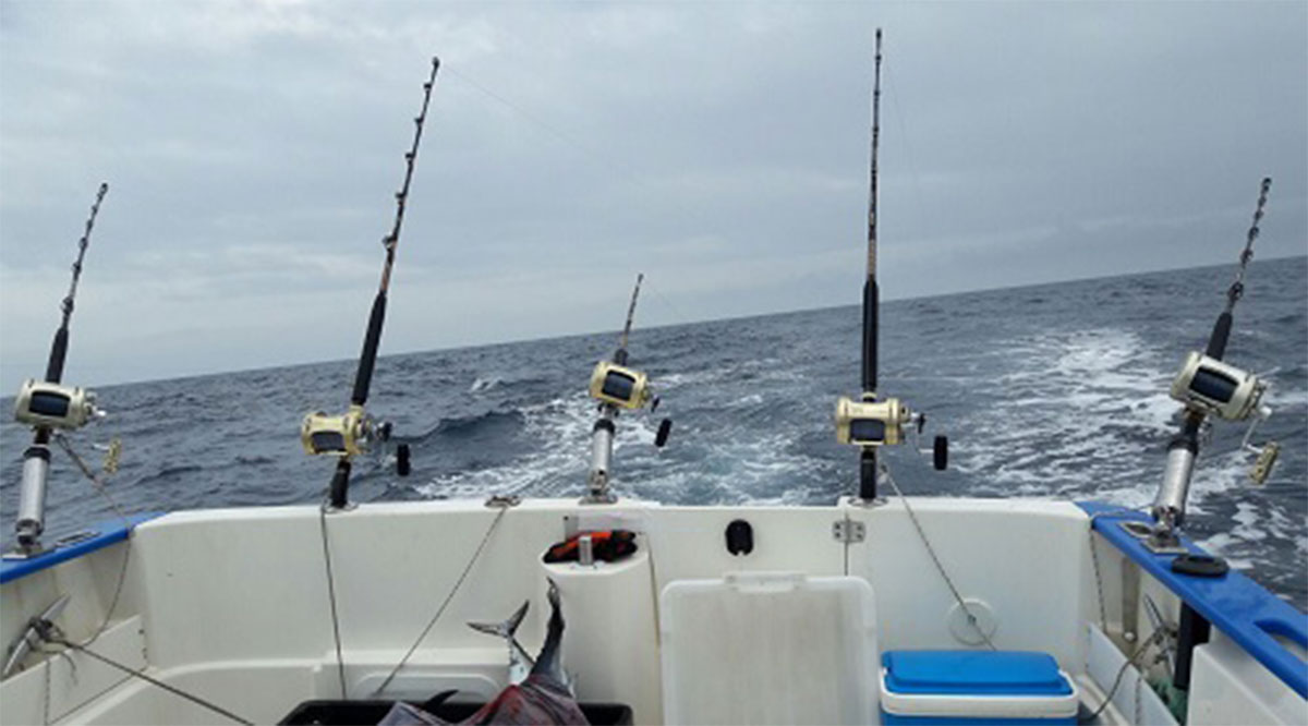 Se pronuncian en contra de la intentona de hacer comercial la pesca del dorado