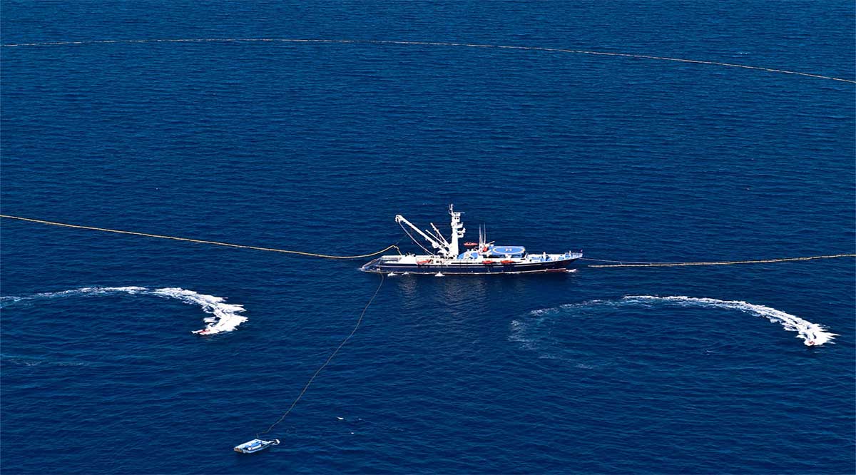 Inició la temporada de pesca de atún en el Océano Pacífico