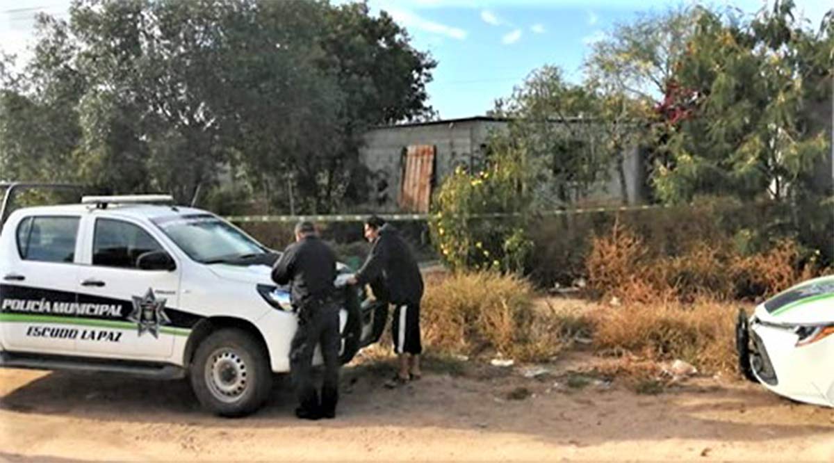 Ubican predio en Calafia posible deshuesadero de vehículos