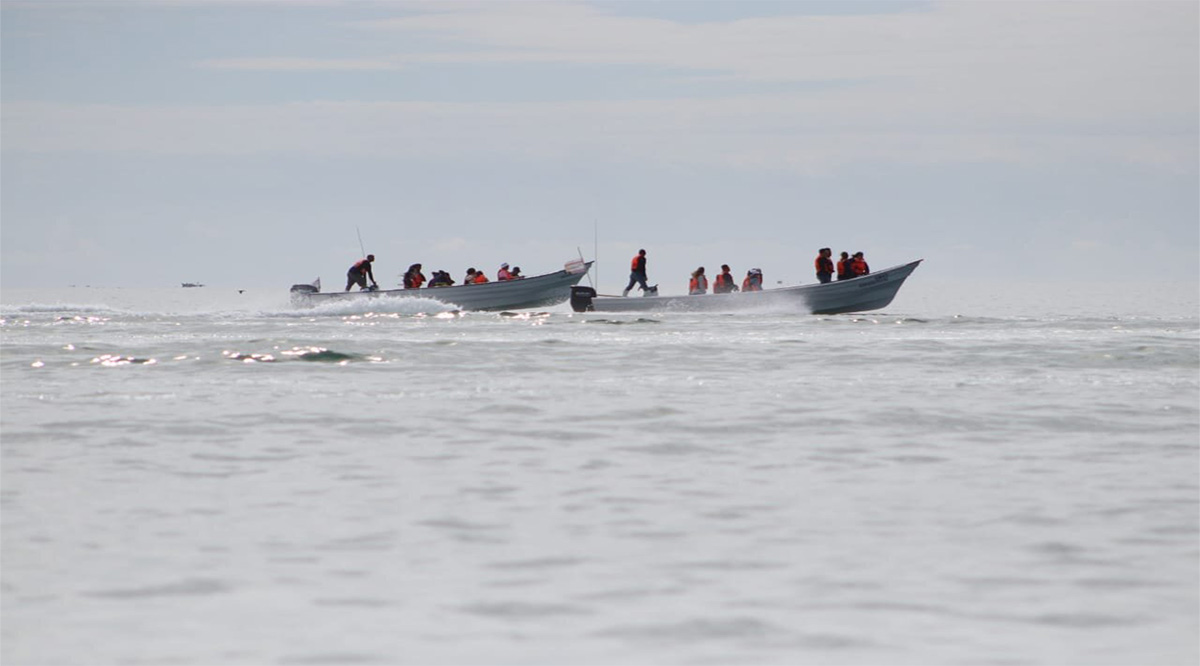 Ha recibido Puerto Chale más de 5 mil personas para el avistamiento de ballenas