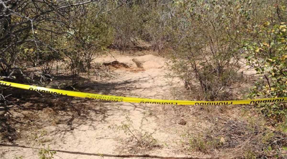 Encuentran cuerpo sin vida semienterrado en Cabo San Lucas
