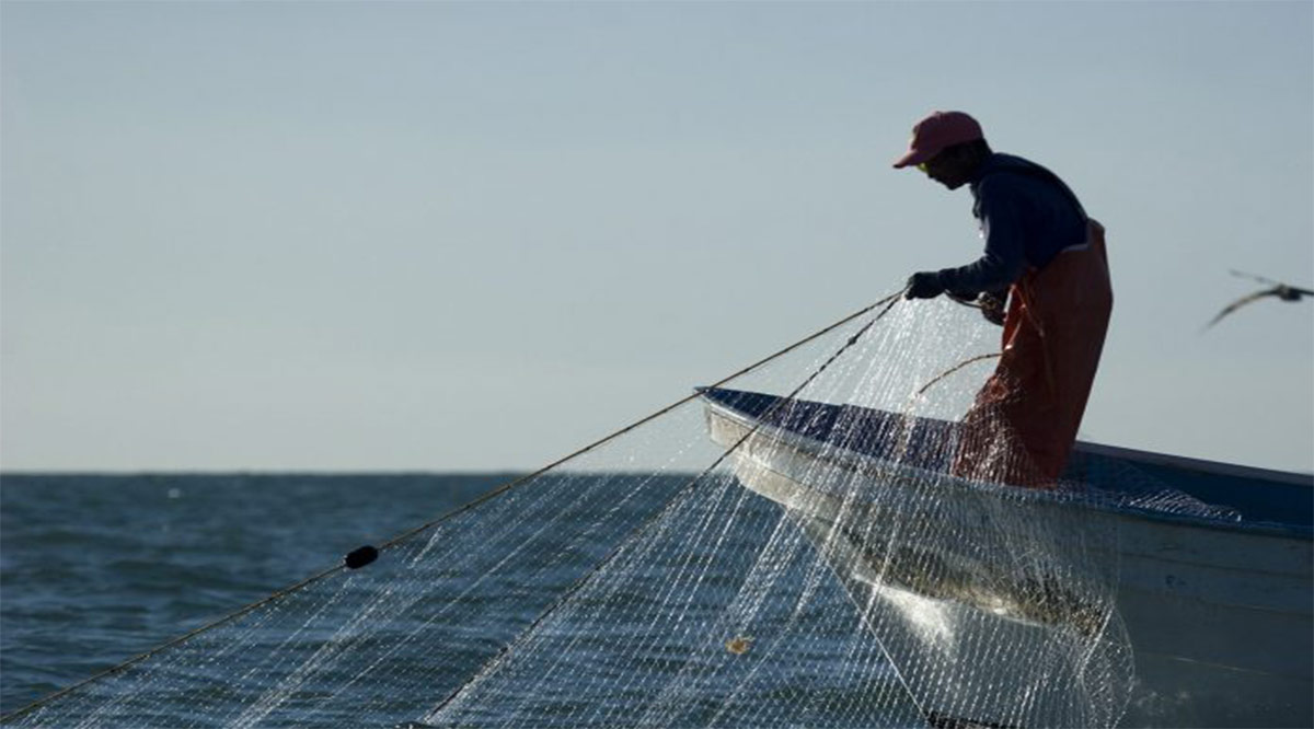 Proponen en foro de pesca en La Paz franja de 30 millas para la pesca ribereña