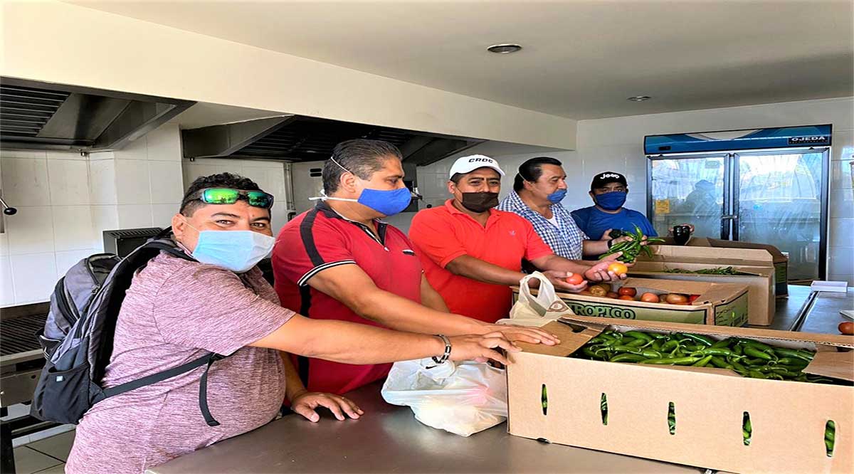 Ha realizado la CROC en Los Cabos más de 30 mil acciones alimenticias