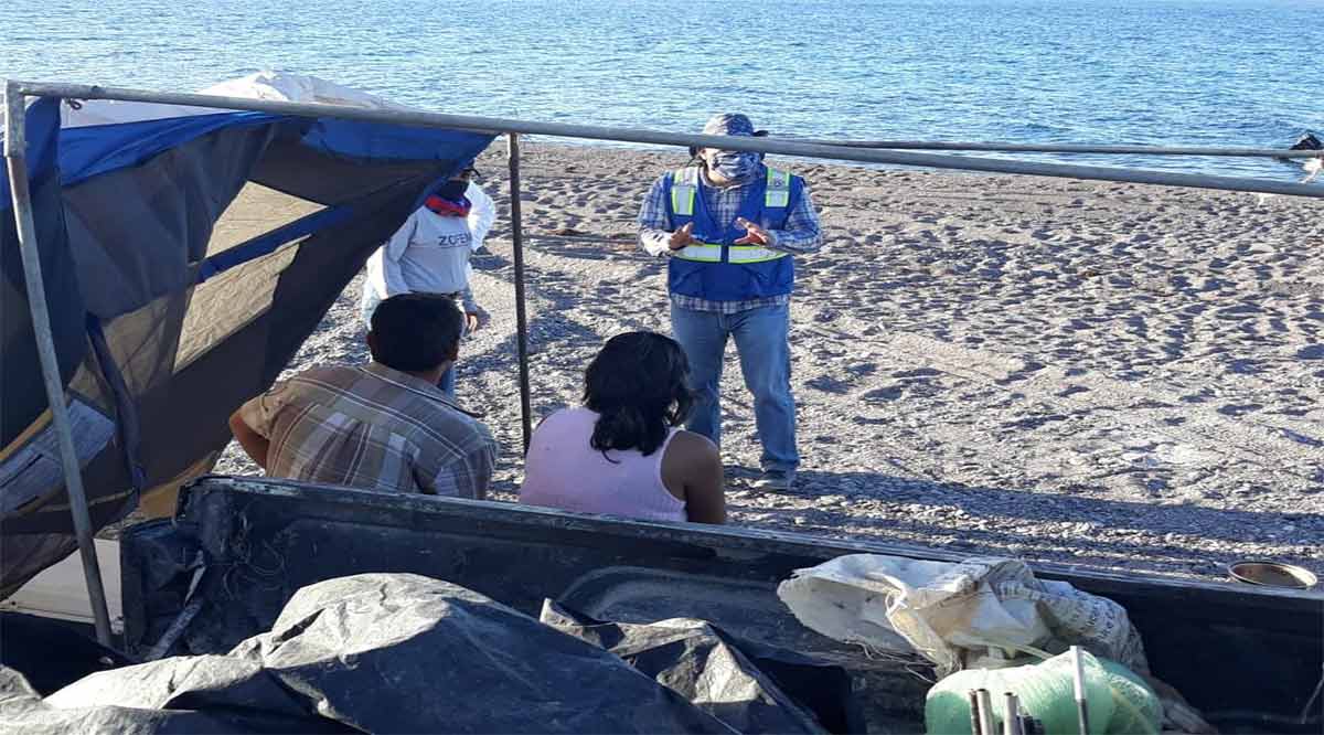 Retiraron 200 vehículos y 700 personas de playas de La Paz y Los Cabos