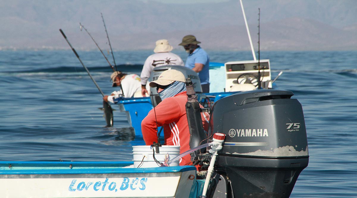 Más de 4,500 pescadores en BCS podrían recibir su seguro de vida