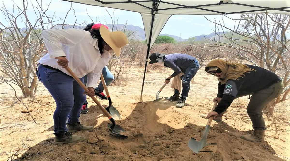 Se efectuó jornada de búsqueda de personas en Los Cabos