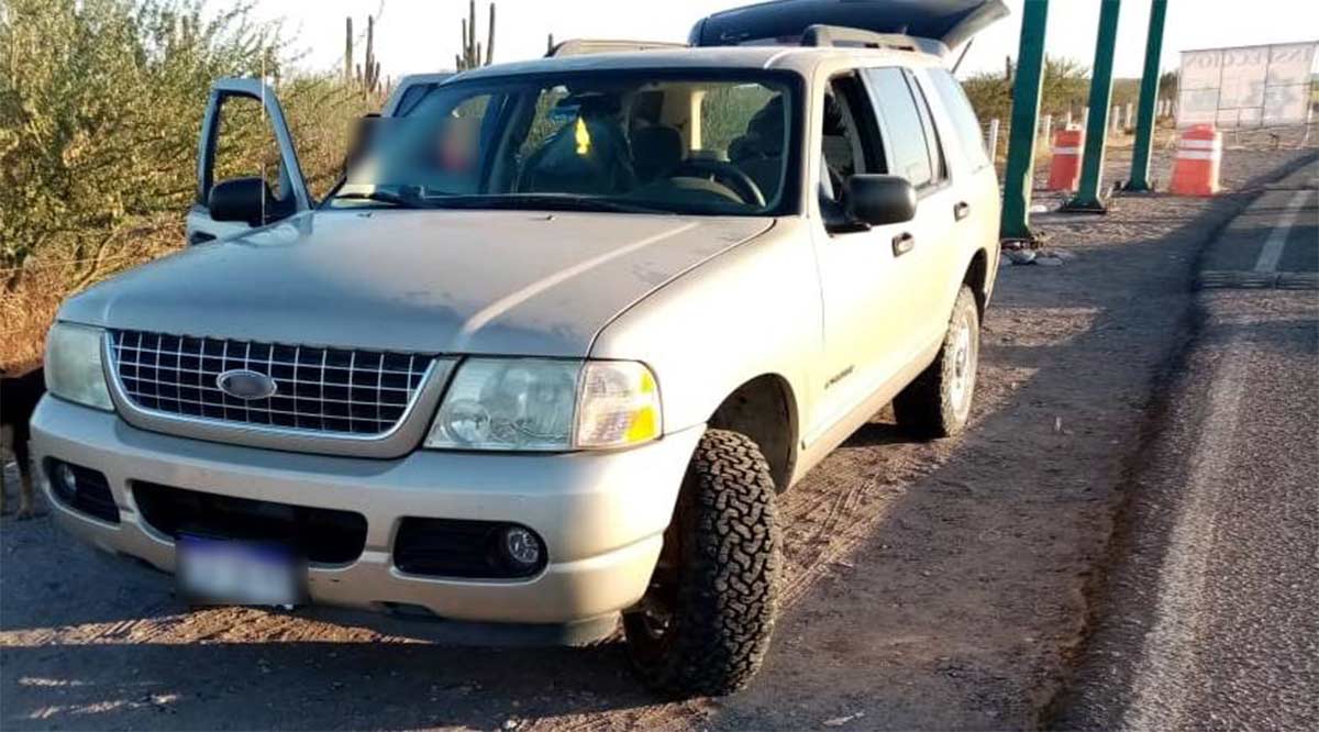 Decomisan 30 kilos de callo de concha nacar