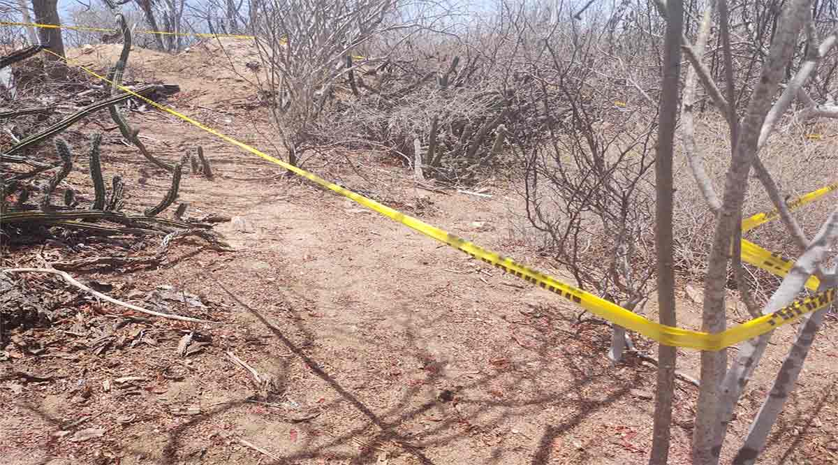 Hallan posibles restos humanos las Comisiones Estatal y Nacional de Búsqueda en Los Cabos
