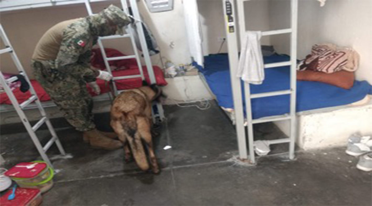 Decomisan celulares y droga en el Cereso de La Paz