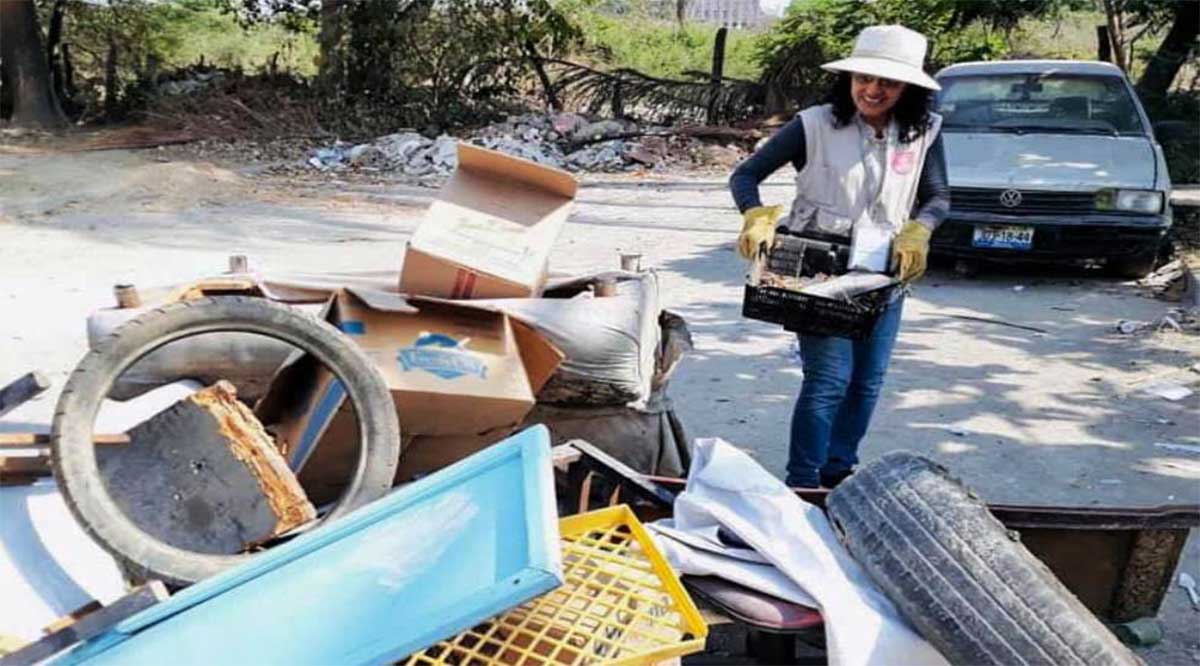 Piden tomar precauciones para evitar enfermedades transmitidas por mosquitos