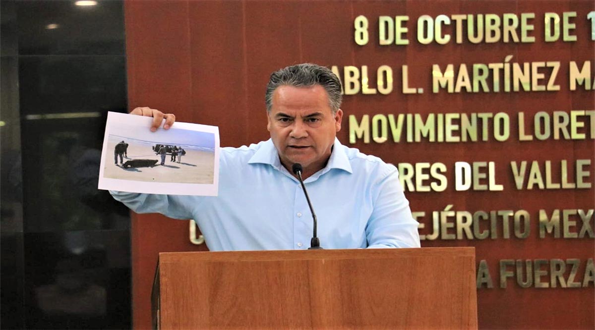 Pide diputado Ruíz intervención de Profepa y Conanp para que investiguen la muerte de 170 lobos marinos