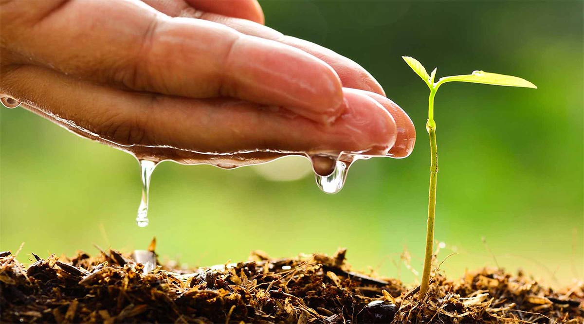 Realizarán mesas de trabajo virtuales para nueva Ley de Equilibrio Ecológico de BCS