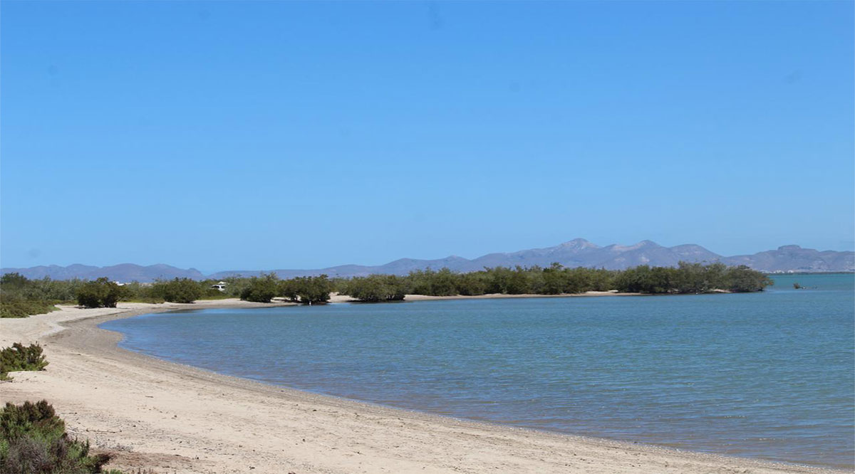 Se ahogó en la playa de El Comitán