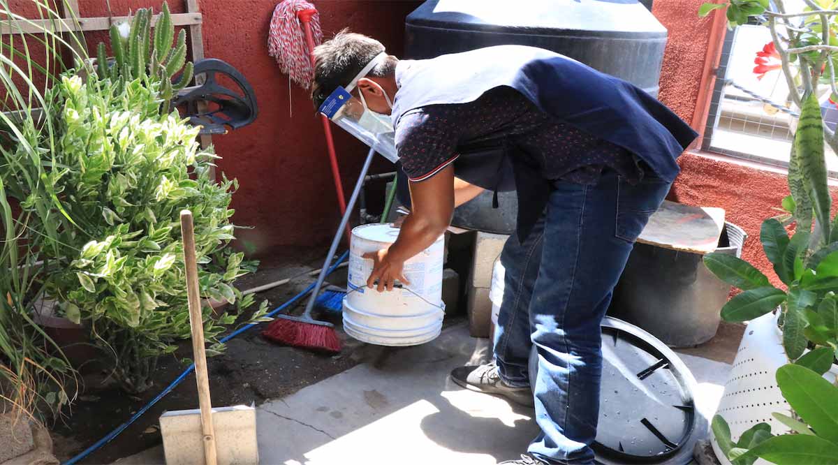 Convoca SSA a eliminar criaderos de mosco tras las recientes lluvias