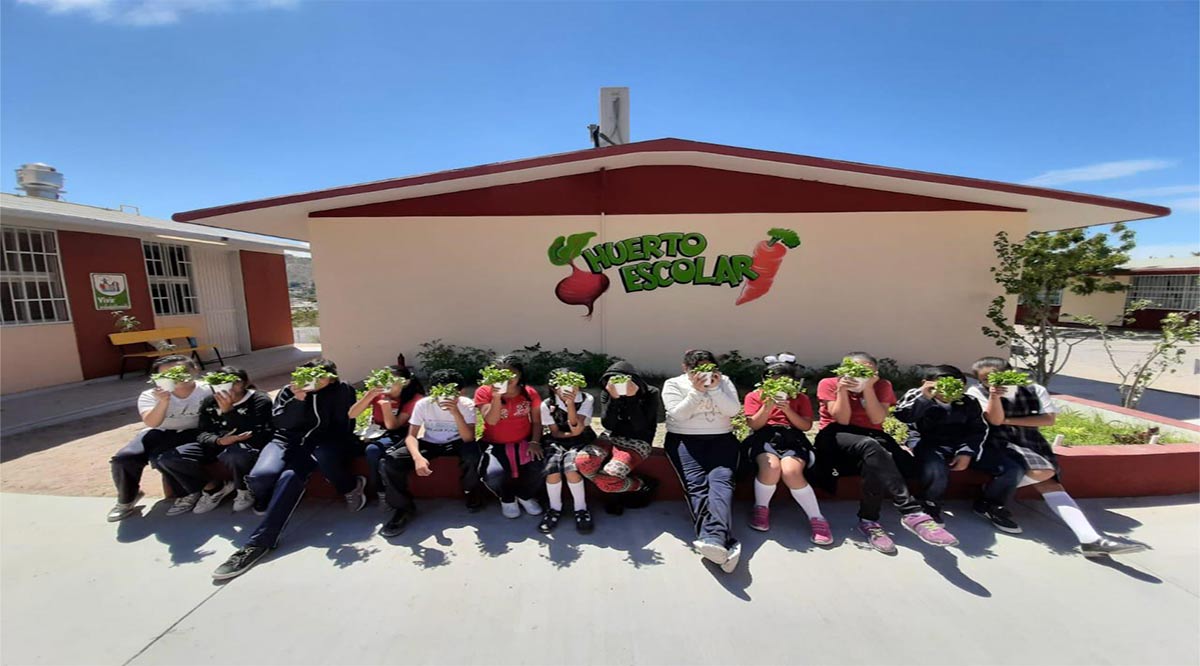 Gana tercer lugar la primaria Olachea en certamen “Escuelas por la Tierra 2020”