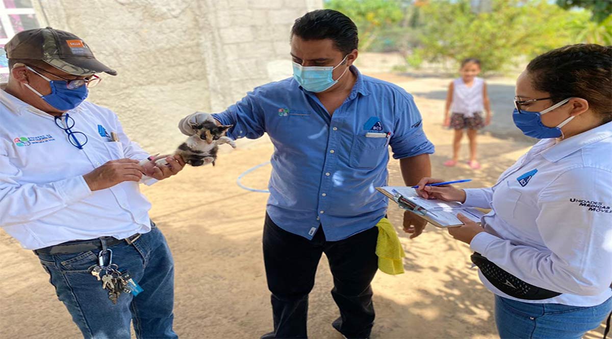 Mantiene el gobierno de BCS la vacunación antirrábica en los municipios