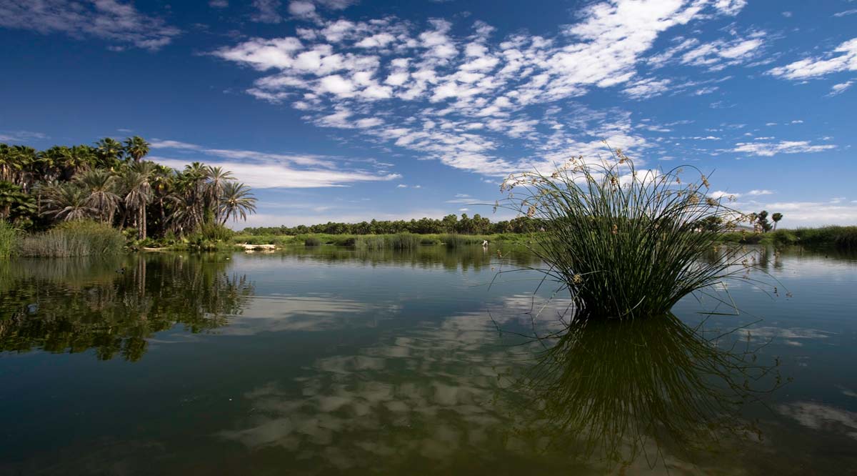 Recibirá BCS recursos del Fondo Mundial para el Medio Ambiente Recibirá BCS recursos del Fondo Mundial para el Medio Ambiente