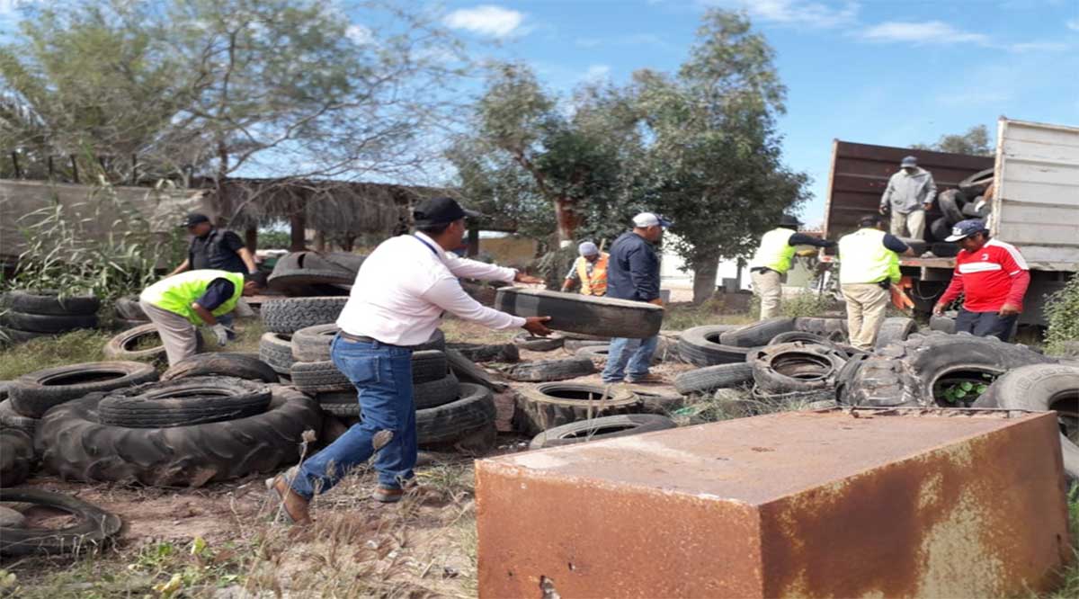 Jornada de descacharrización en La Paz Jornada de descacharrización en La Paz