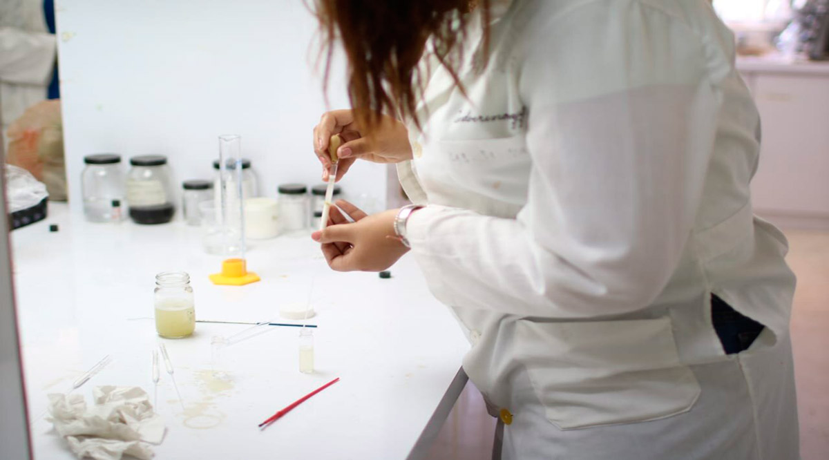 Ingresan académicos de la UABCS al Sistema Nacional de Investigadores Ingresan académicos de la UABCS al Sistema Nacional de Investigadores