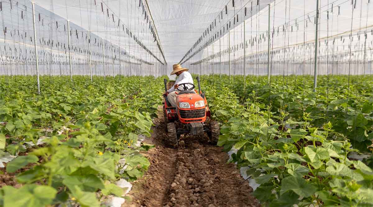 Se han invertido más de 404 mdp a favor de los sectores productivos primarios de BCS