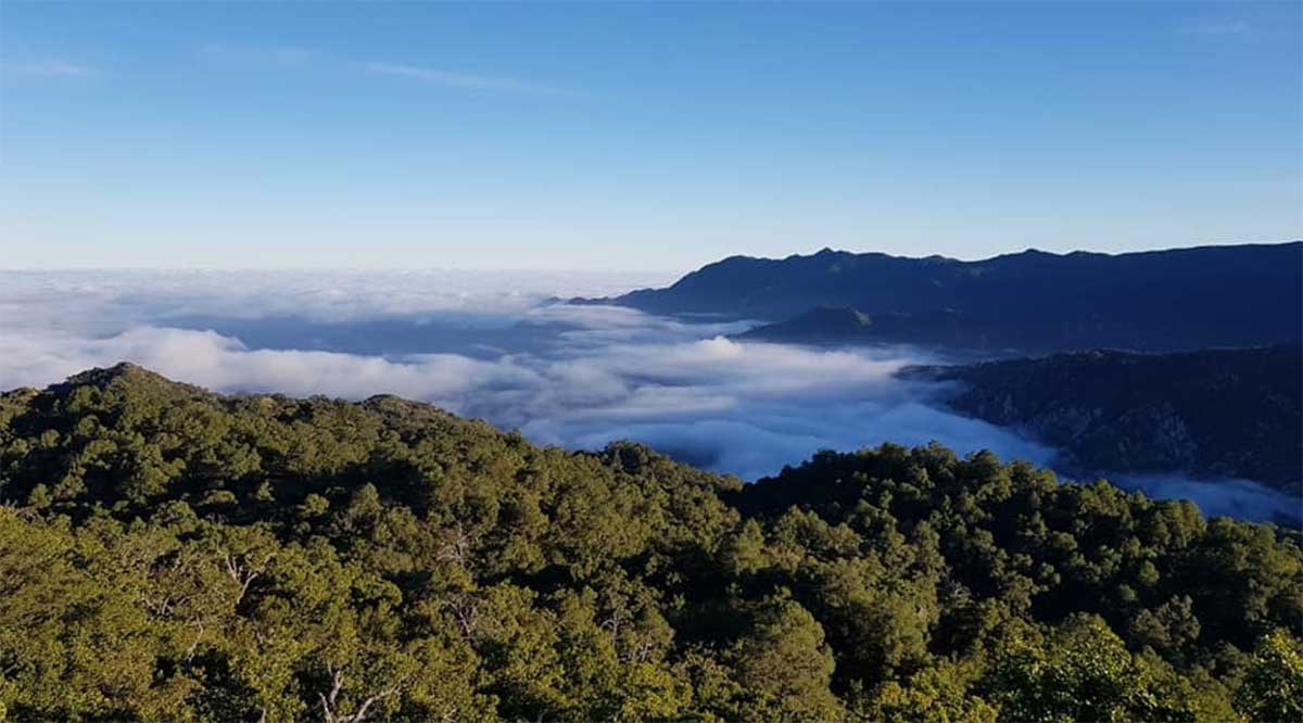 Sierras, cerros y volcanes de BCS: SIERRA DE LA LAGUNA - Sudcalifornios