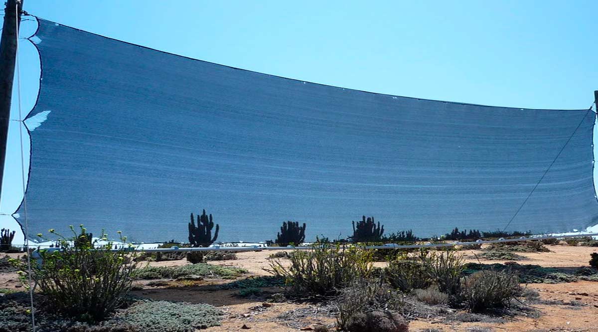 Trabajan investigadores de la UABCS en proyecto piloto de captación de agua Trabajan investigadores de la UABCS en proyecto piloto de captación de agua