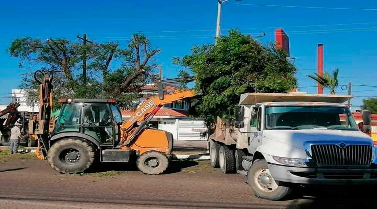 Ingresaron al relleno sanitario de La Paz más de 114 toneladas de basura en el 2020