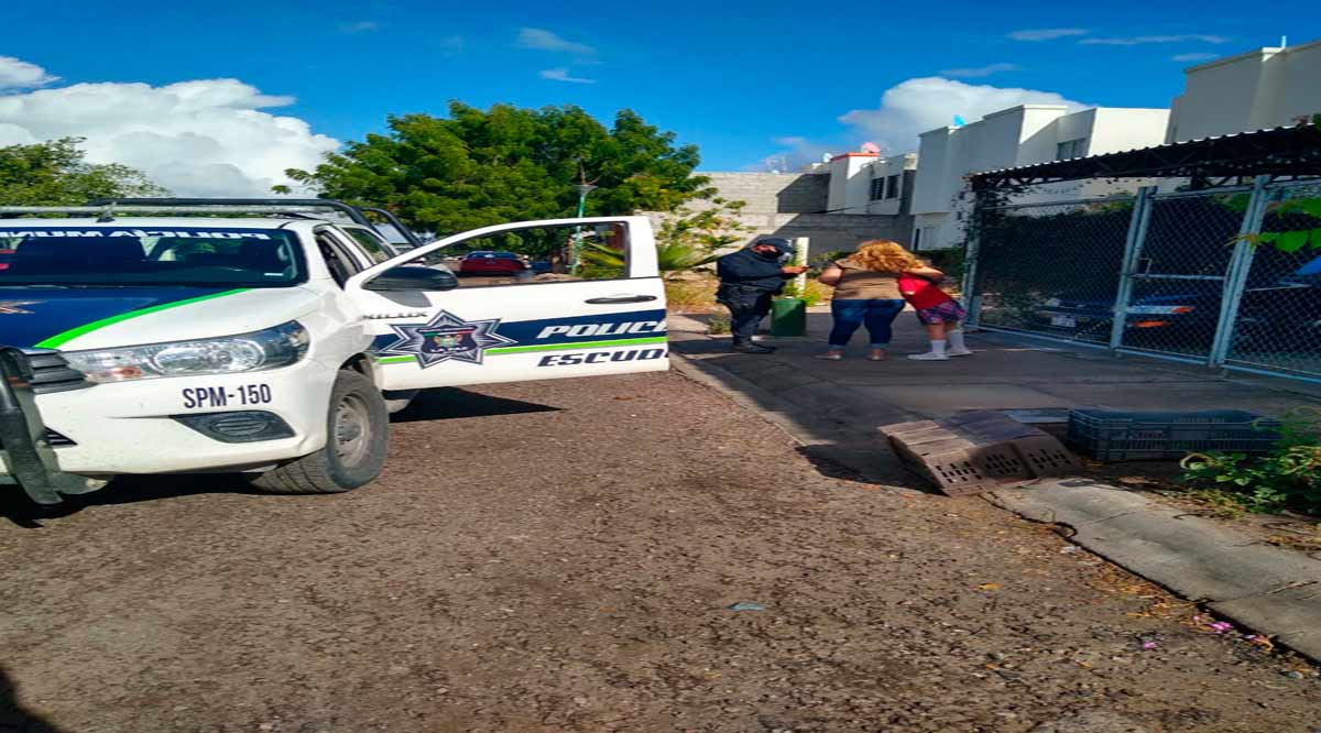 Localizan a menor de 9 años extraviada en Camino Real