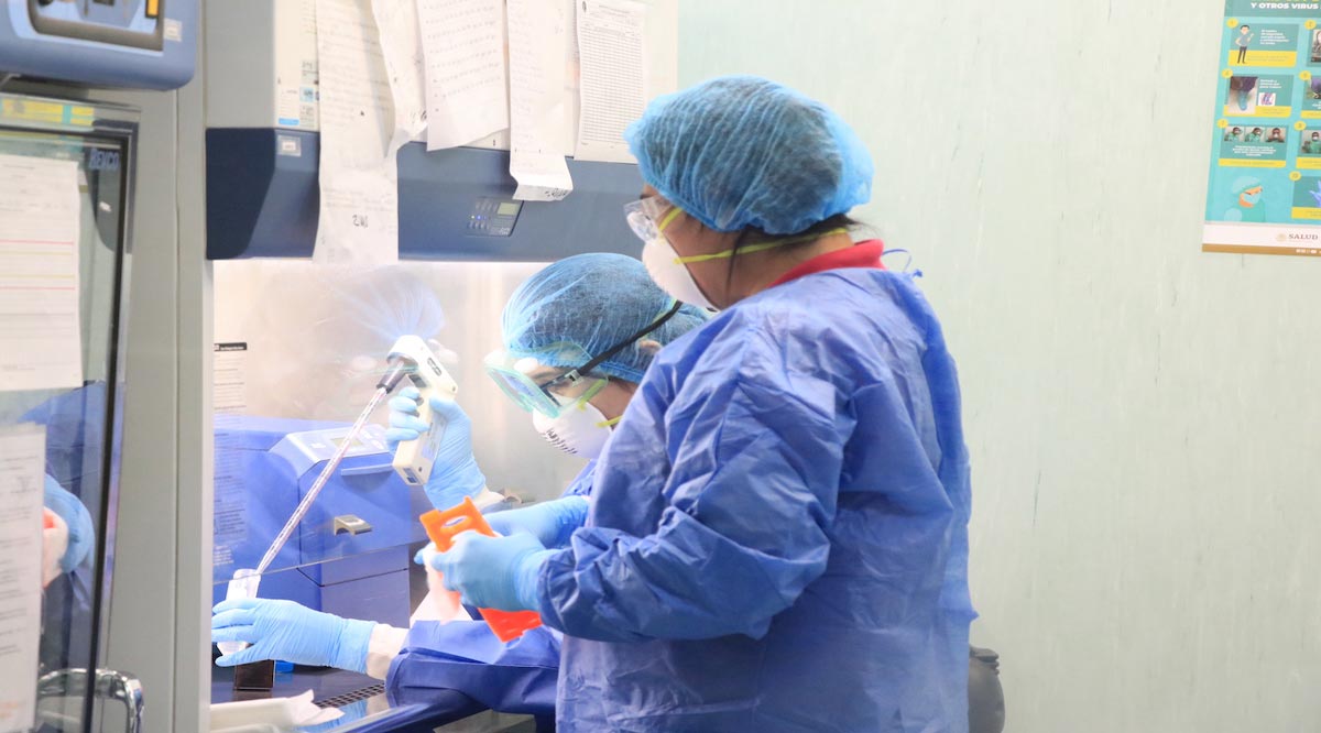 Más de 42 mil pruebas Covid-19 se han realizado en BCS Más de 42 mil pruebas Covid-19 se han realizado en BCS