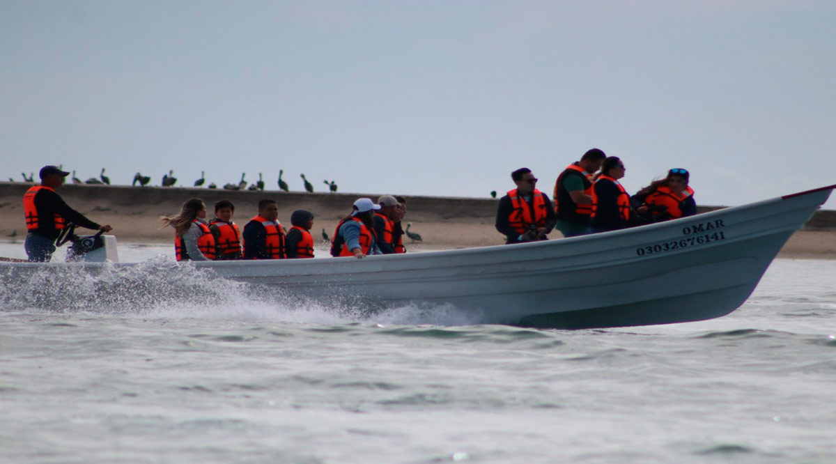 Más del 60% de lancheros que lo realizan, no han recibido los permisos para el avistamiento de ballenas en BCS