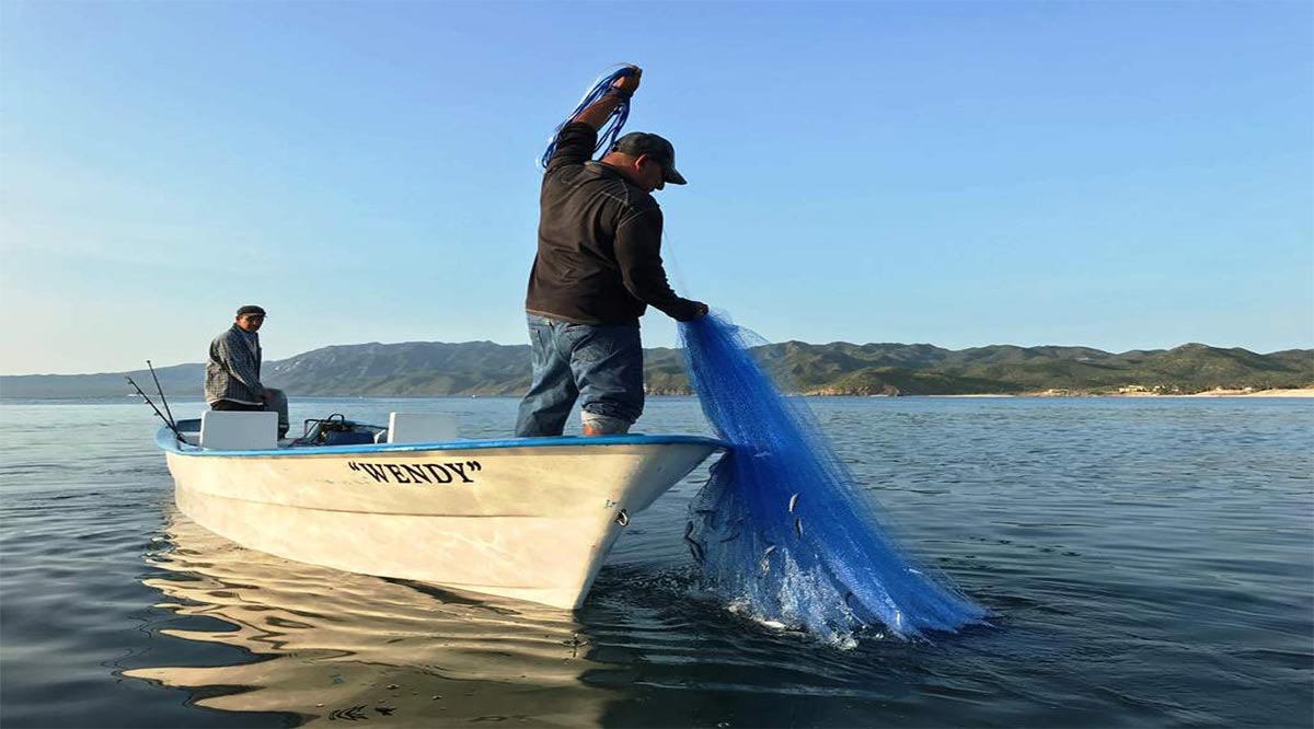 En riesgo de acaparamiento los permisos de pesca: A. Villareal