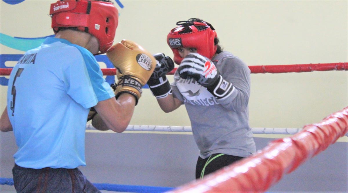 Trabajan seleccionados de boxeo de BCS con la mira en los Panamericanos de la Juventud