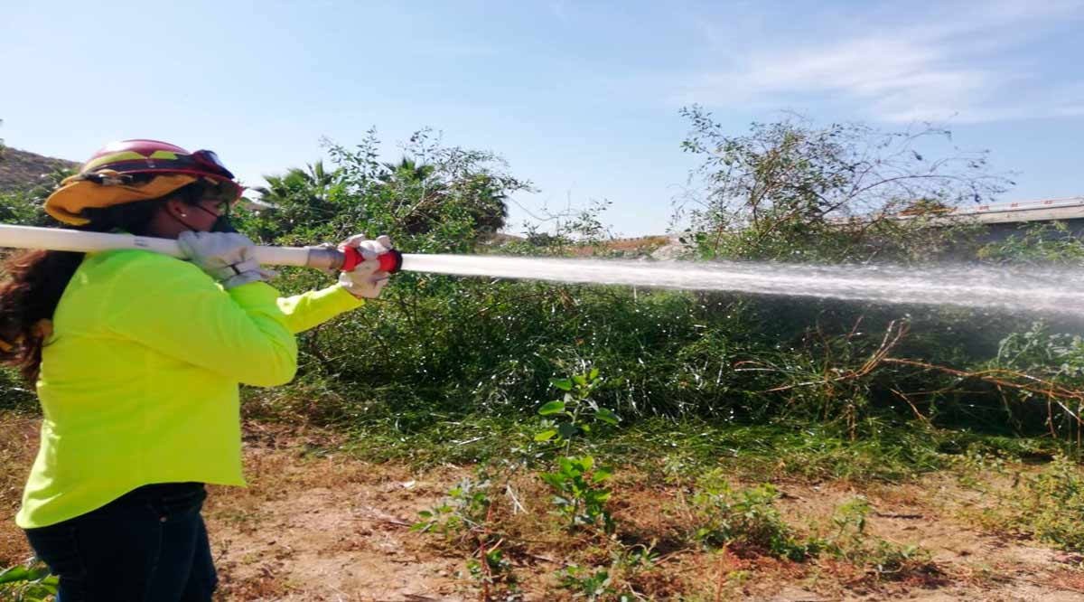 Llama Gobierno de BCS a prevenir incendios forestales