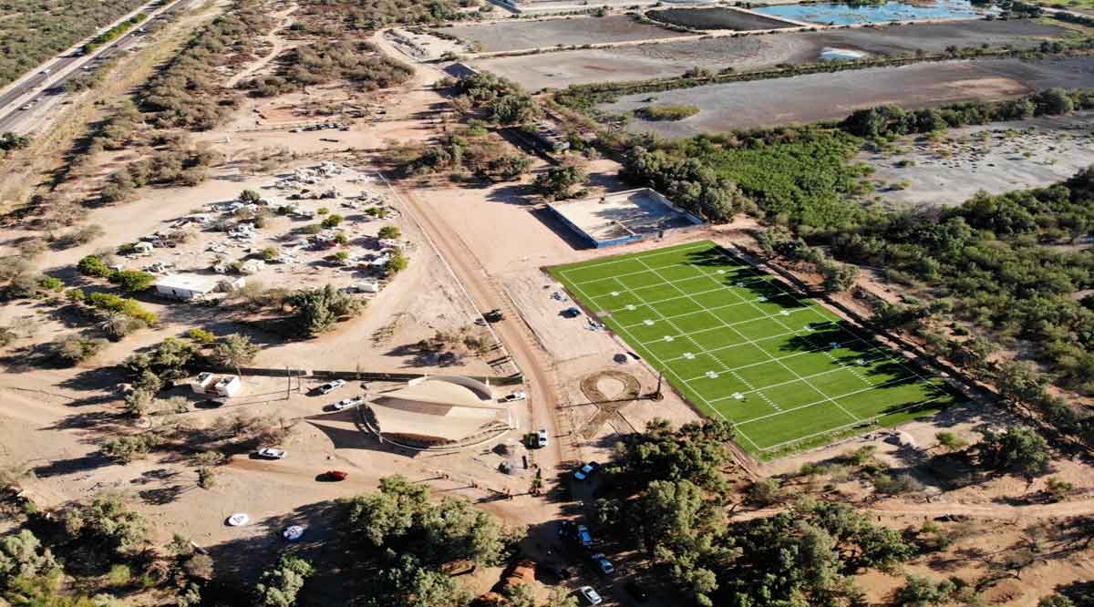 Se han plantado 3 mil árboles en el Eco Parque de la Juventud