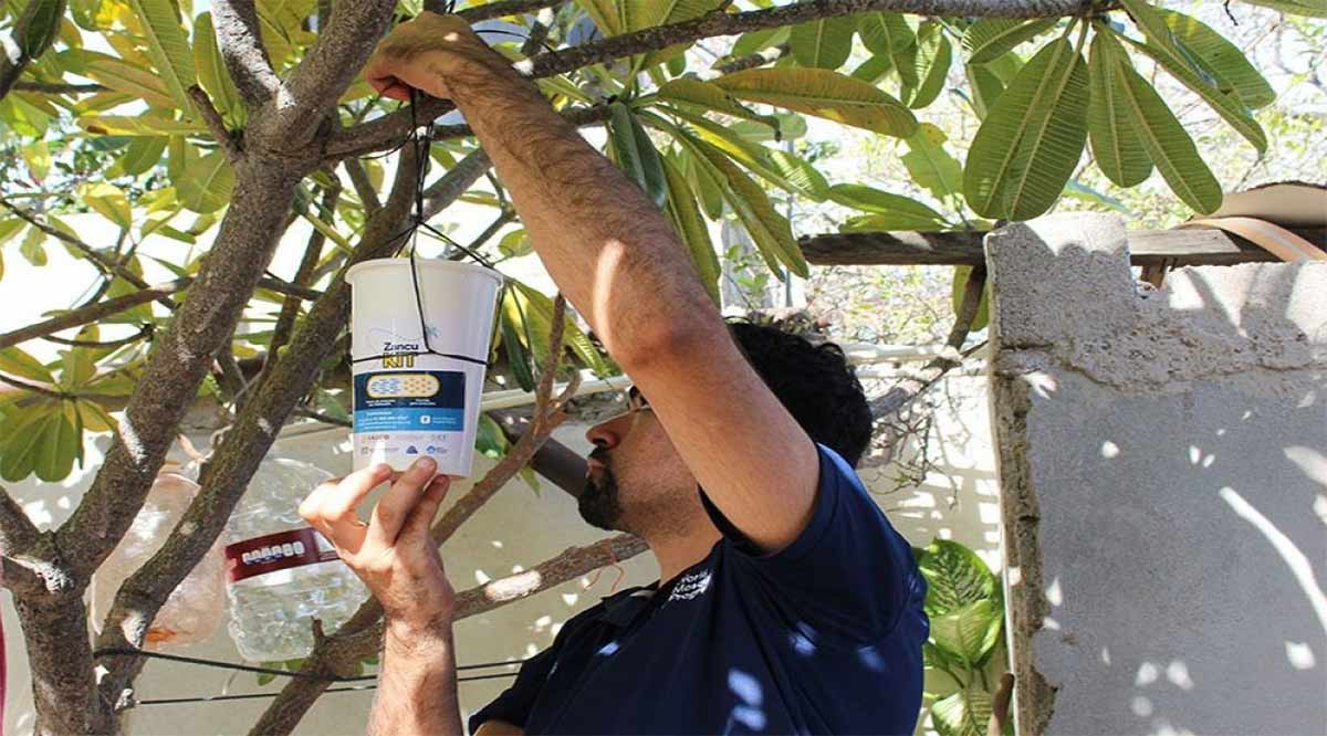 Suman a las colonias del sur de La Paz al proyecto Wolbachia