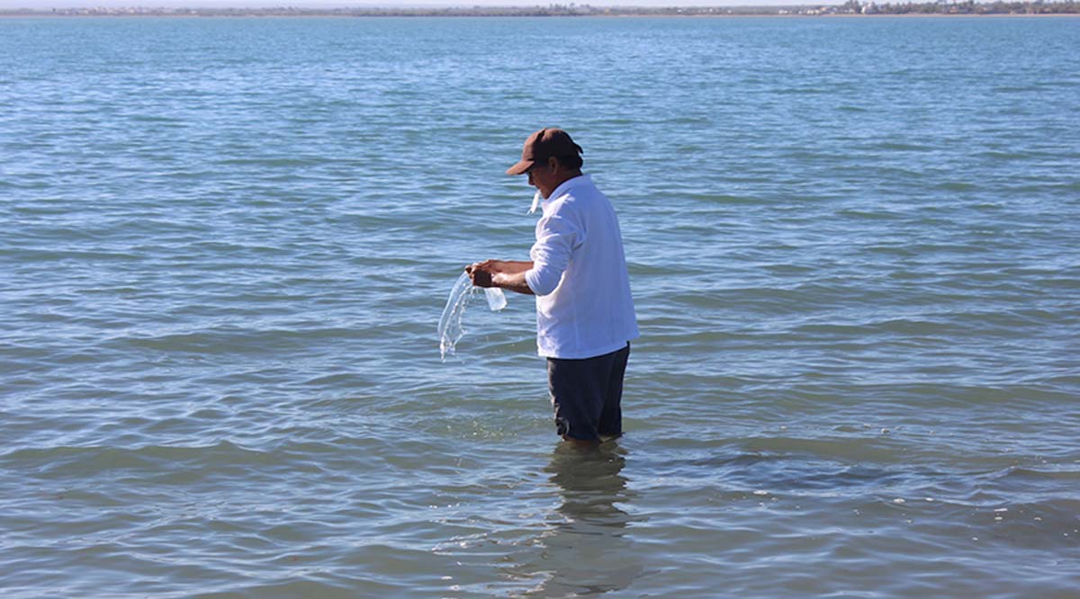 Están en condiciones sanitarias óptima las playas de BCS