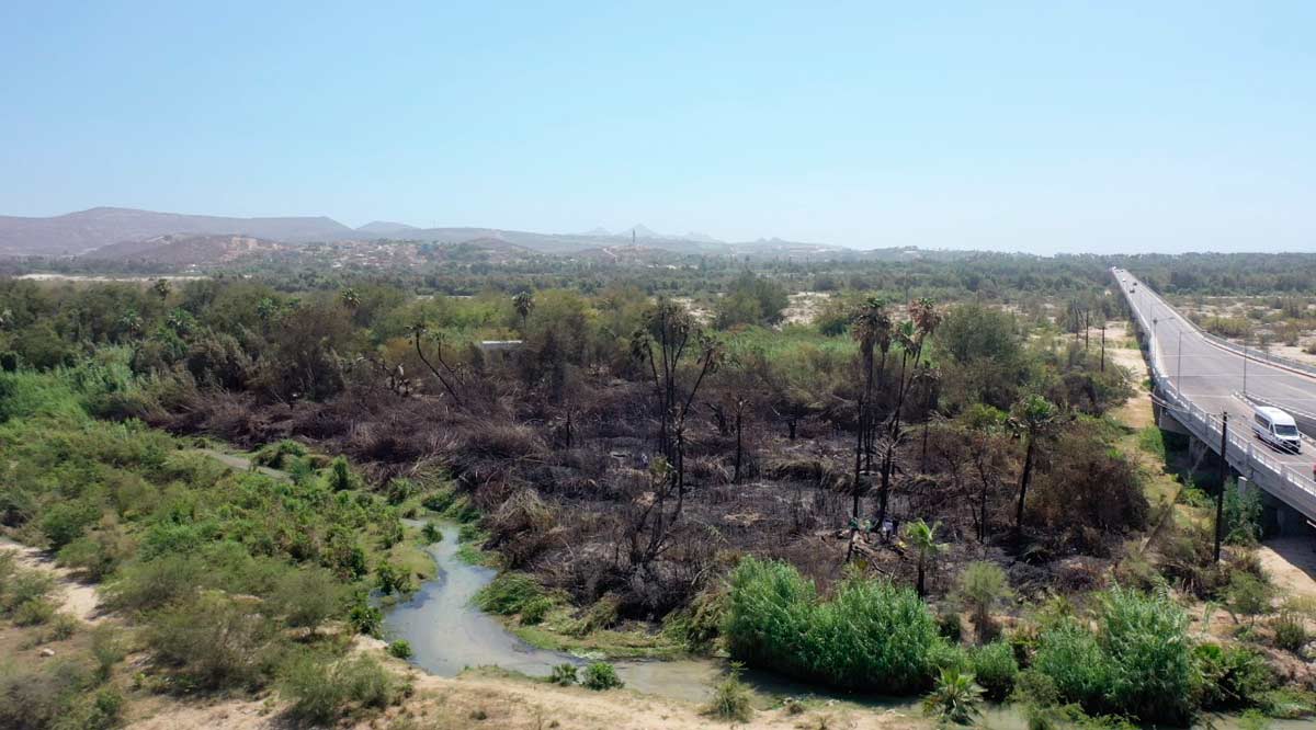 Presumen que el incendio en el Estero de SJC fue provocado