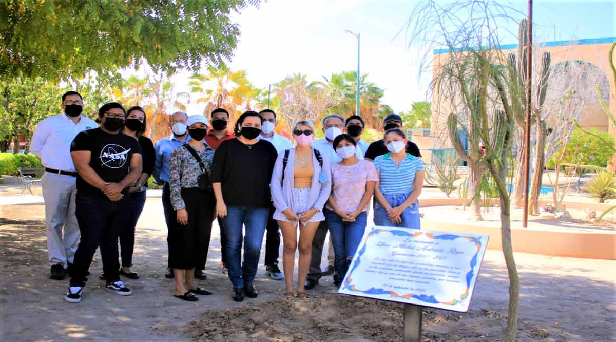 Siembran árbol estudiantes de la UABCS en honor a compañero fallecido