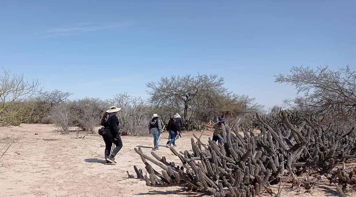 Encuentran hallazgos al parecer de restos humanos en Comondú