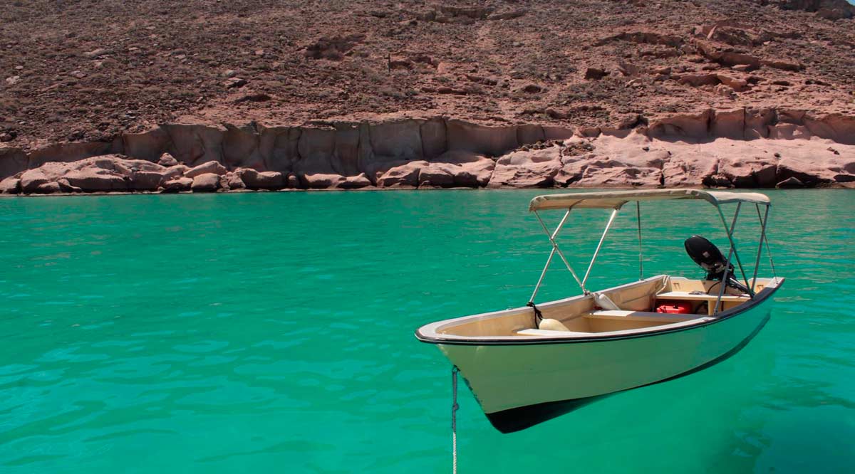 Otorgarán gafetes a tour operadores en el malecón de La Paz