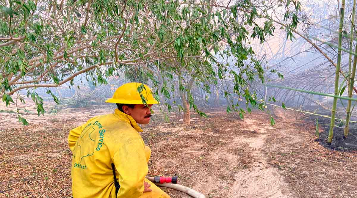 Urge un Plan de Manejo para el Estero de SJC