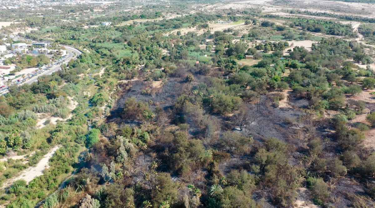 Durante 5 horas 80 personas trabajaron para apagar el segundo incendio en el Estero de SJC