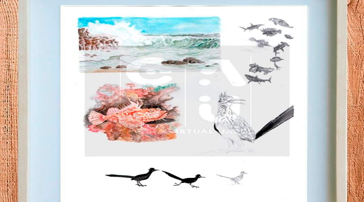Realizará la UABCS su I Concurso de Ilustración Científica “Biodiversidad Ilustrada de BCS”