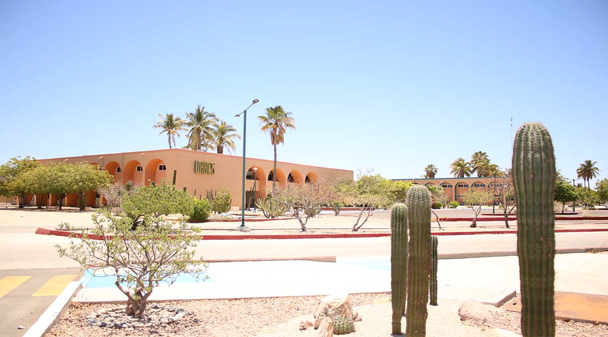 Inició la UABCS su período vacacional de verano Inició la UABCS su período vacacional de verano