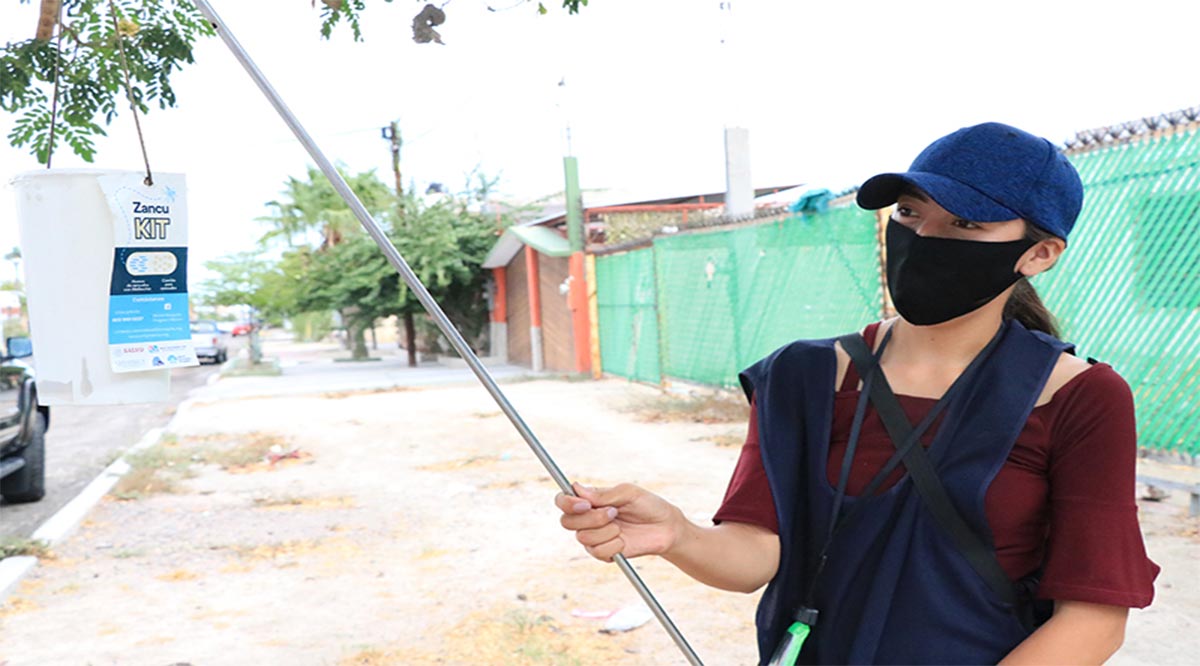 Fortalecen proyecto Wolbachia para prevenir el dengue en La Paz