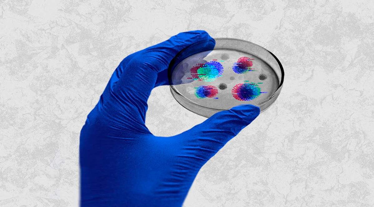 Seis decesos han ocasionado las variantes Delta y Gamma en BCS Seis decesos han ocasionado las variantes Delta y Gamma en BCS