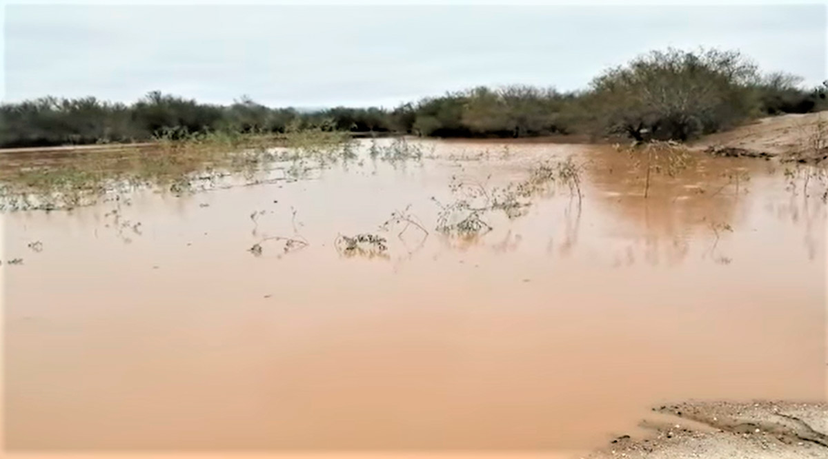 La poca lluvia que dejó “Enrique” ayudará a mitigar la sequía en BCS
