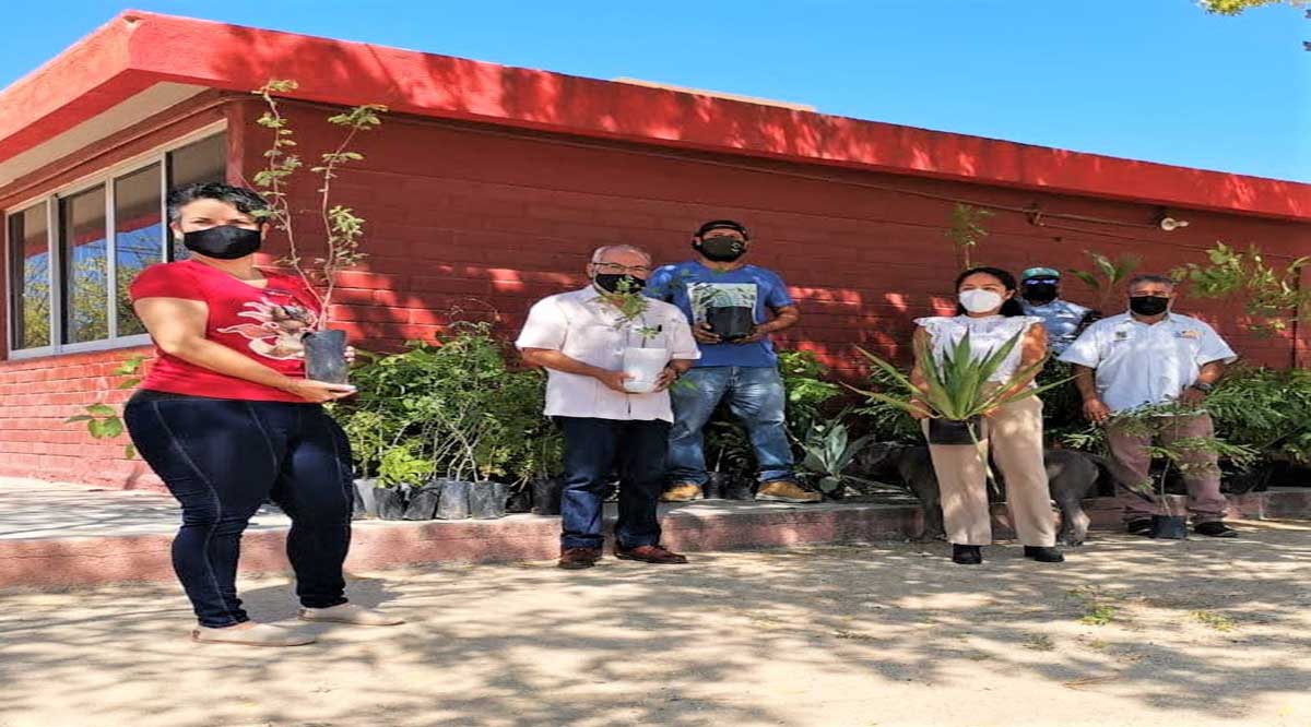 Se replantaron en julio 500 especies endémicas en Los Cabos