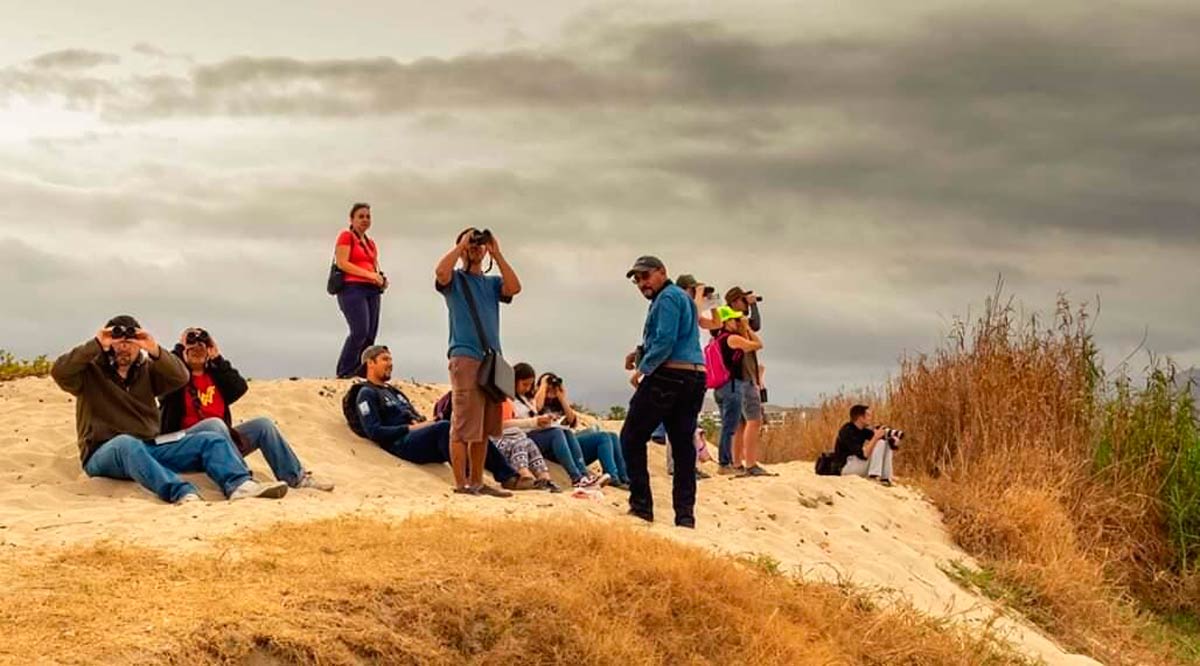 Impulsan el aviturismo como actividad sustentable en La Paz