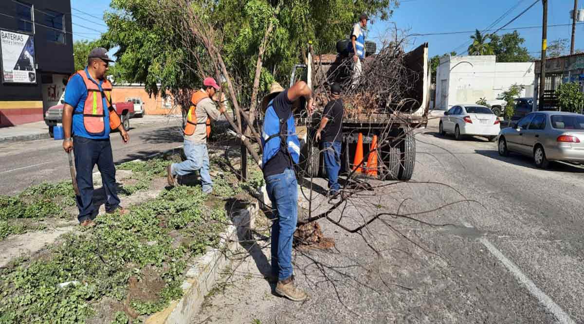 Avanza al 60% la limpieza en La Paz y Los Cabos tras el paso de “Olaf”